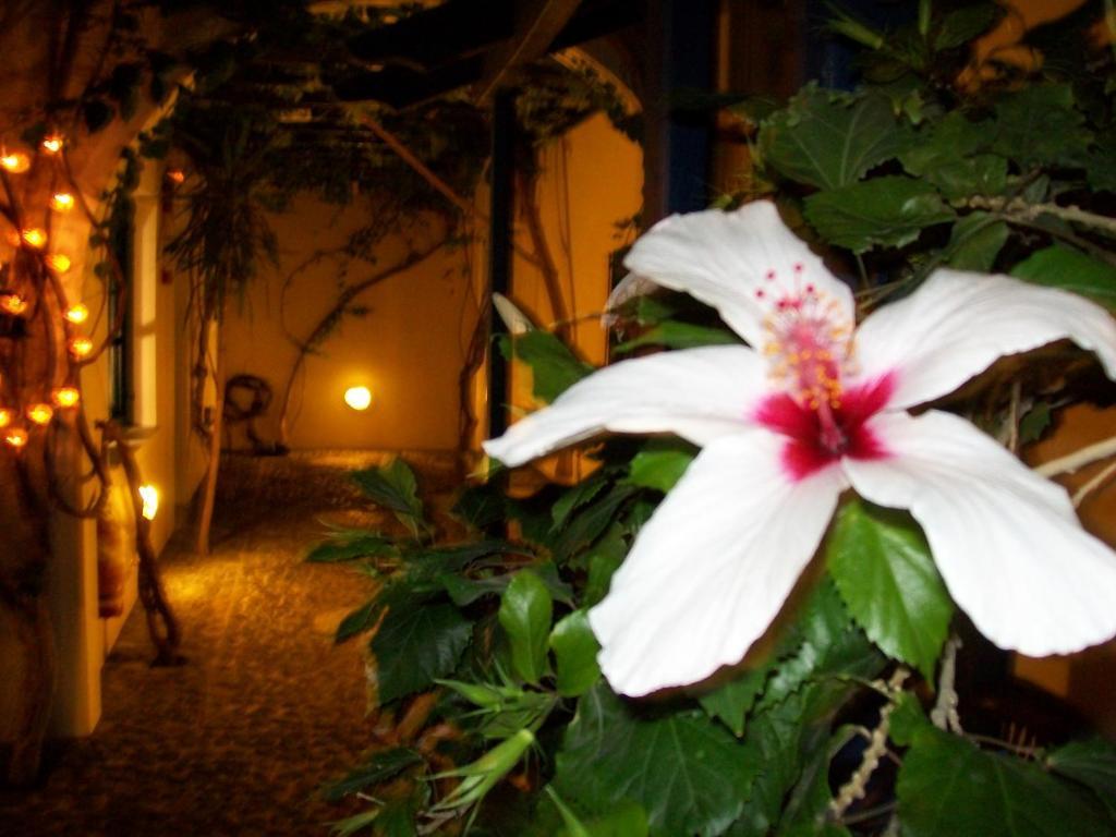 Villa Spyros Santorini Періса Екстер'єр фото